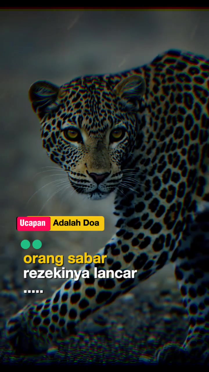@Sham0z04