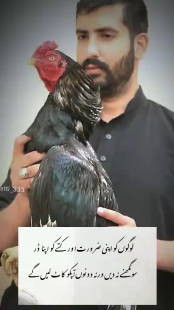@فرحان بشیر بھٹی🇵🇰
