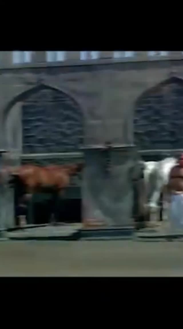 @RIAZ ANSARI
