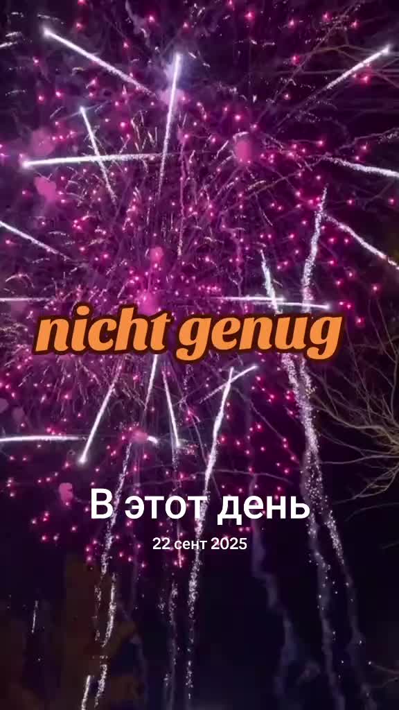 @A_L_E_X PRO 81