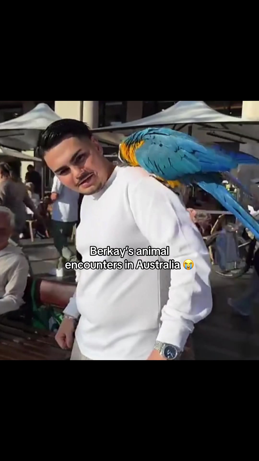 @𝐖𝐢𝐧𝐭𝐞𝐫