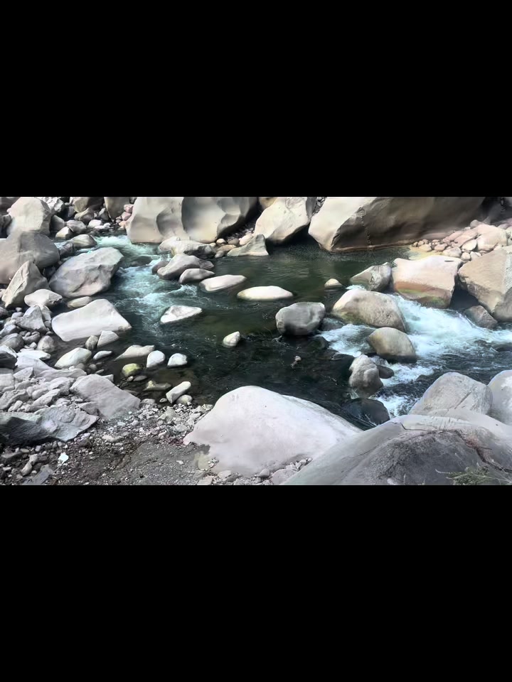 @roberto carlos