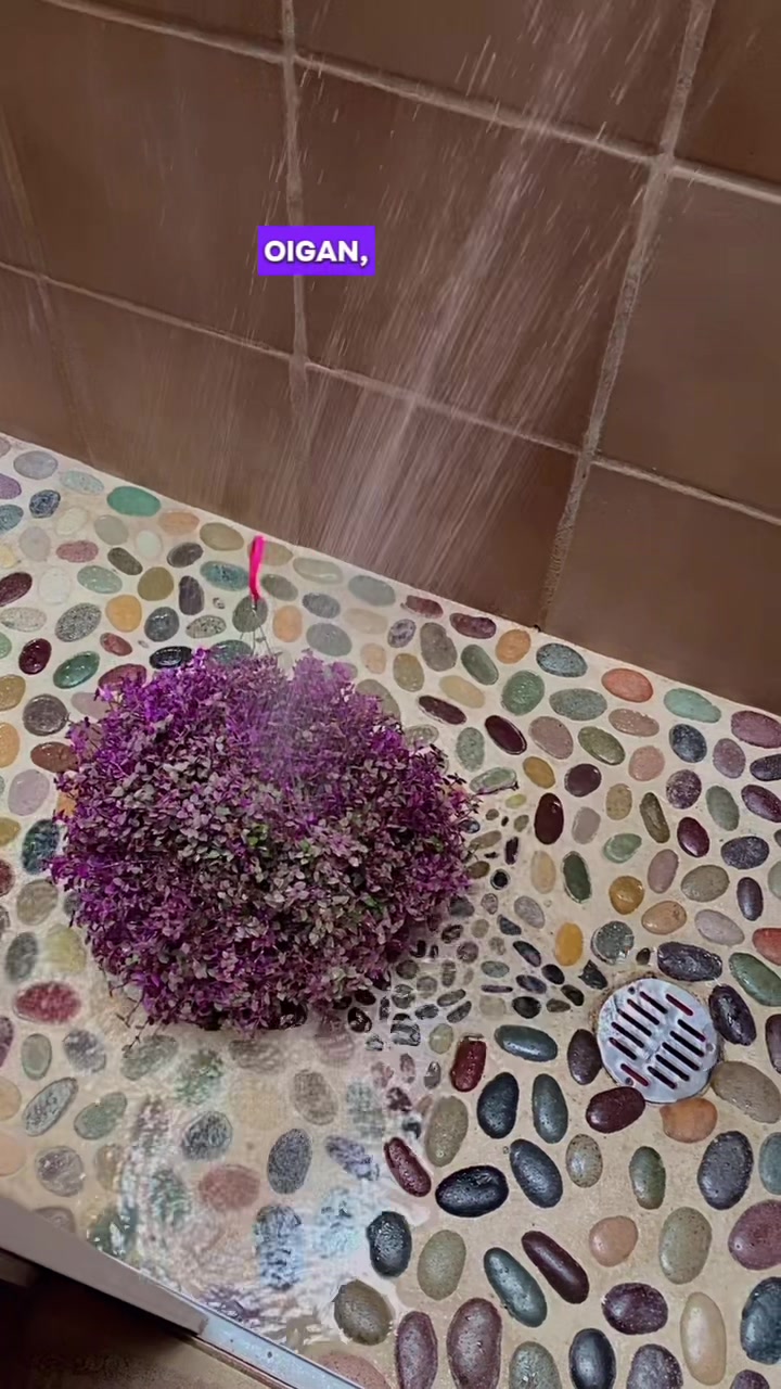 @Mariana Reyes