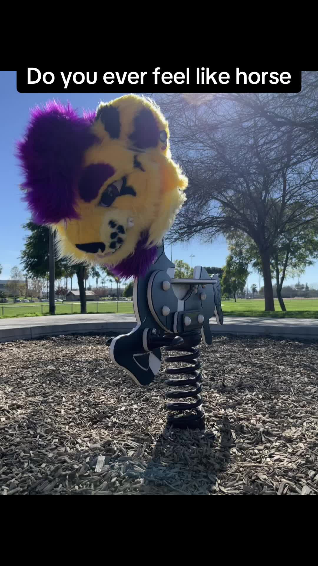 @Wolfyy!! ‼️‼️