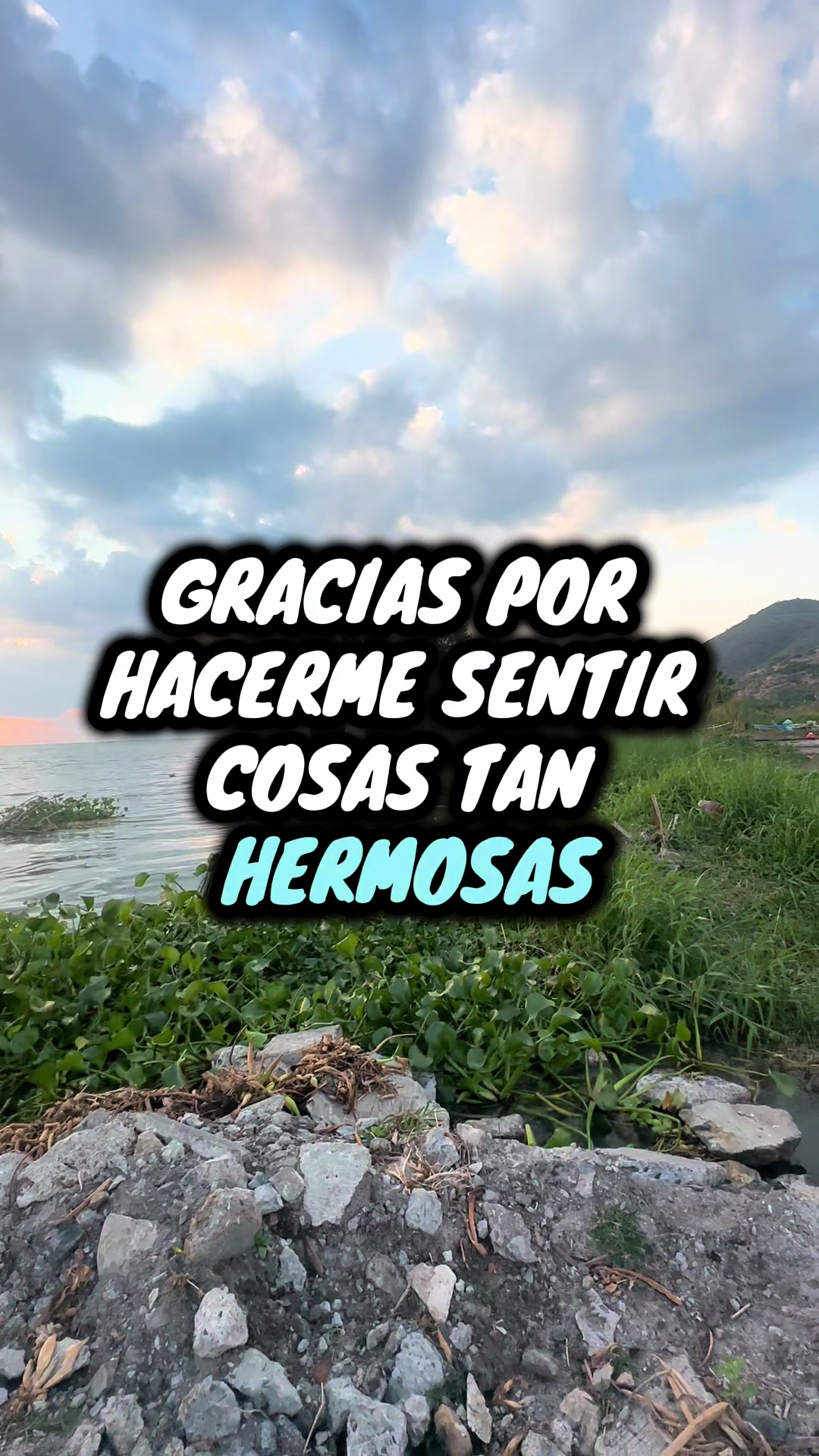 @DANY ALEX