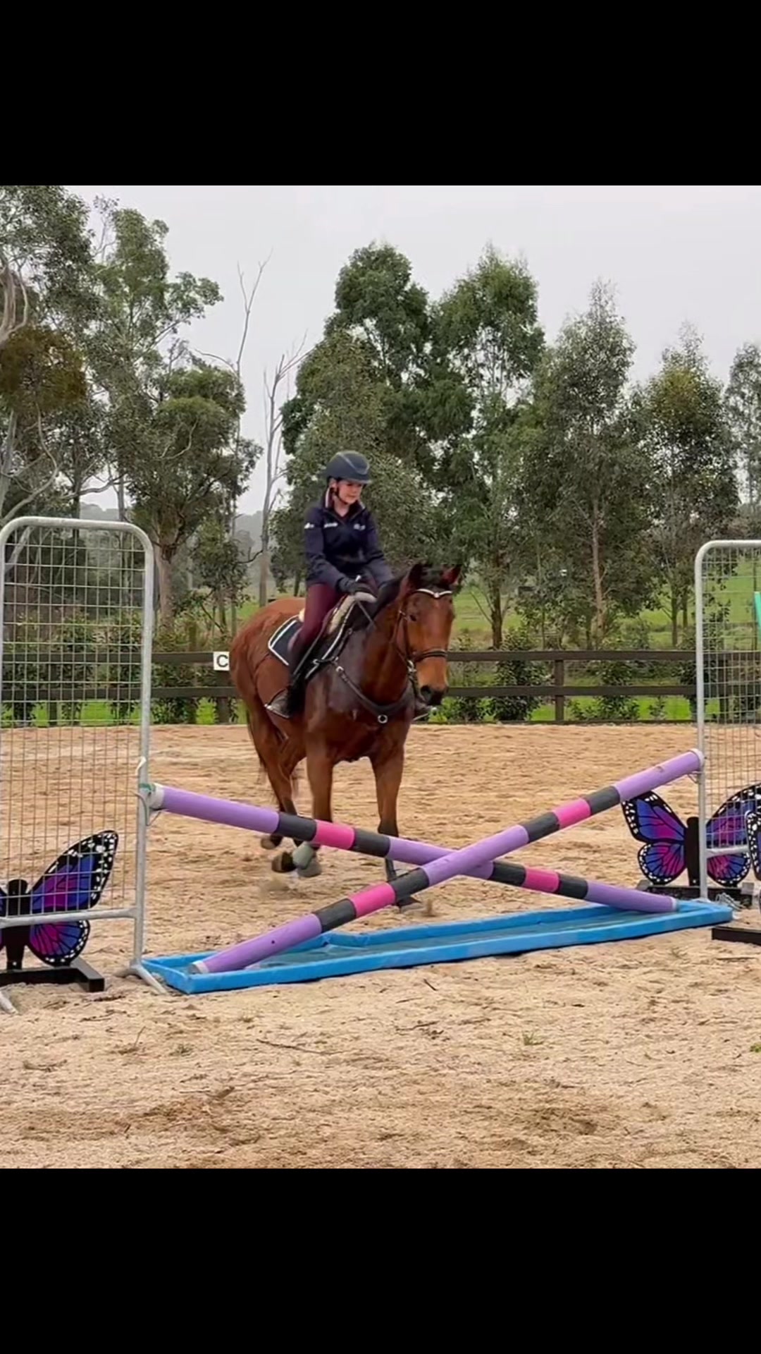 @Imi_.equestrian