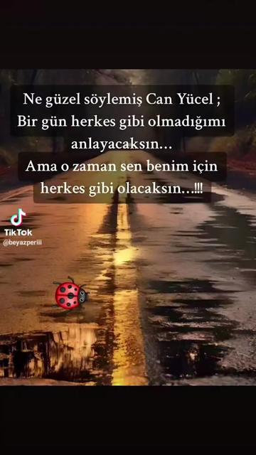 @🐦🔥‼️JEHR-i🦂₀₂çᵢₗₑₘ‼️🐦🔥