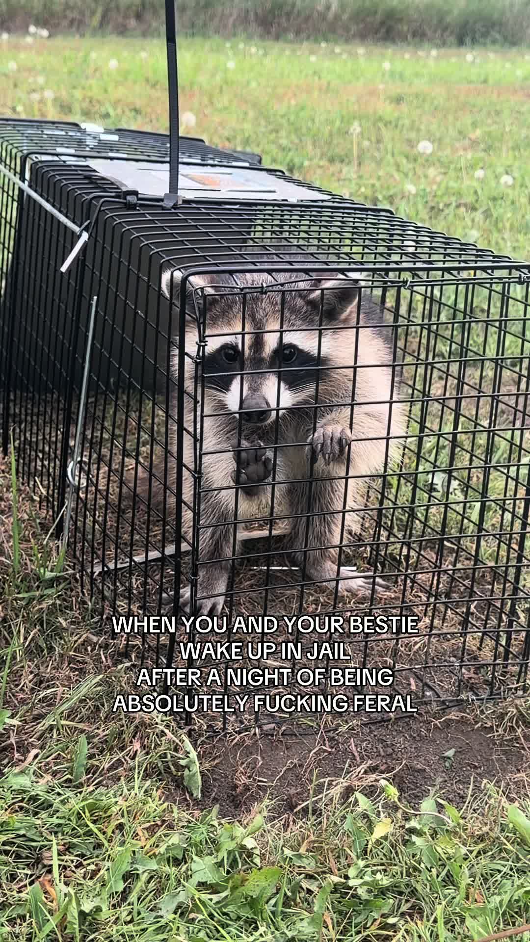 @Erica | Anderson Acres
