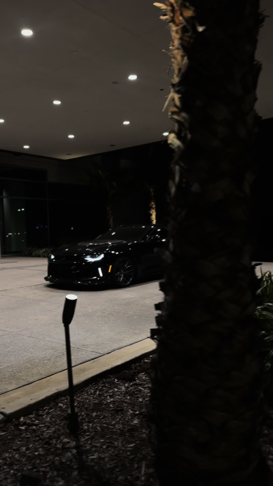 @JACOB D ESTRADA 💰