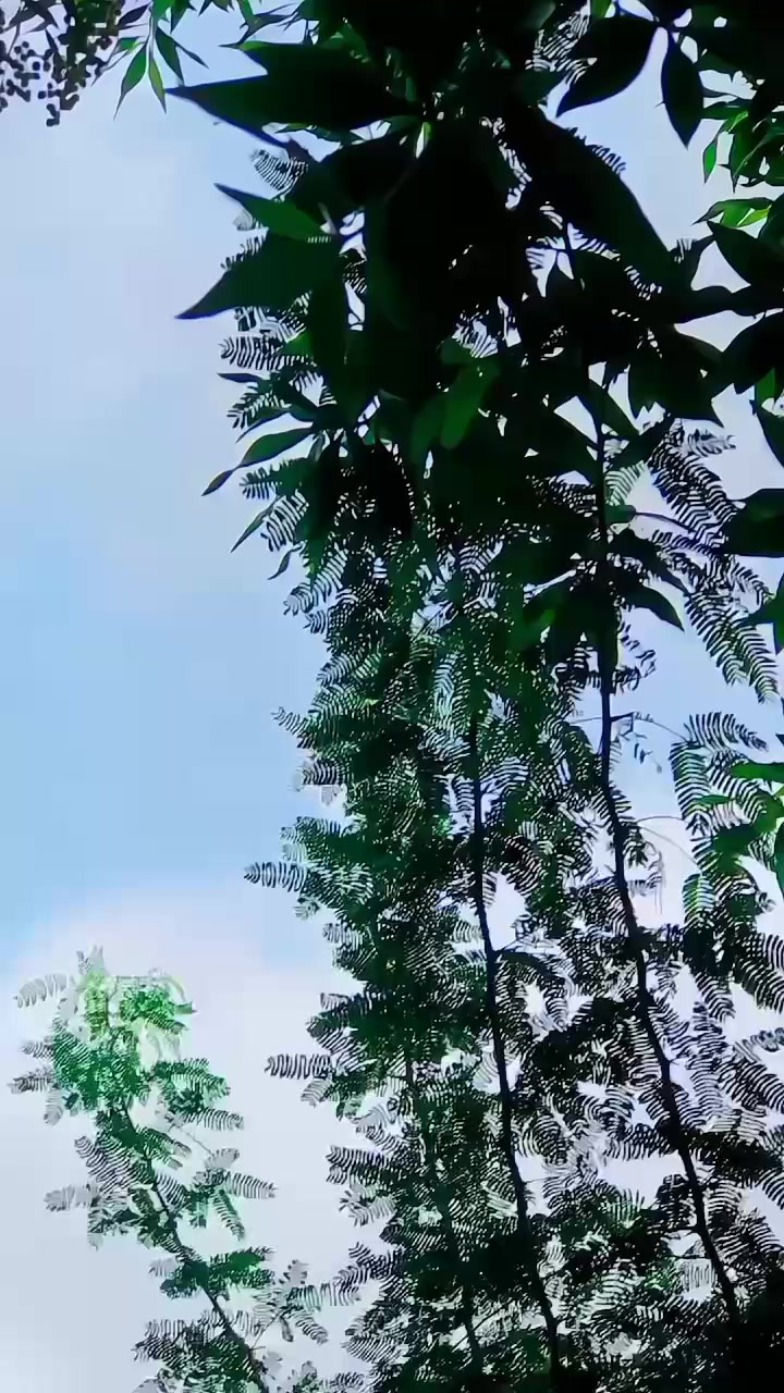 @🦅احسان ..JAN🦅