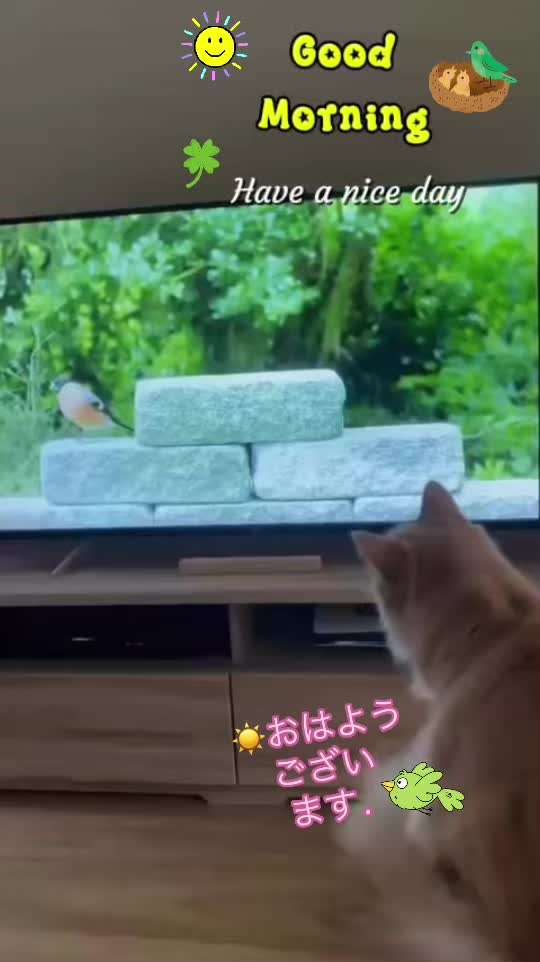 @Claudinei サントス