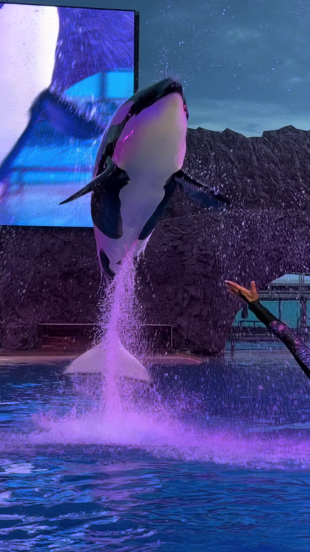 @OlivierSeaworld