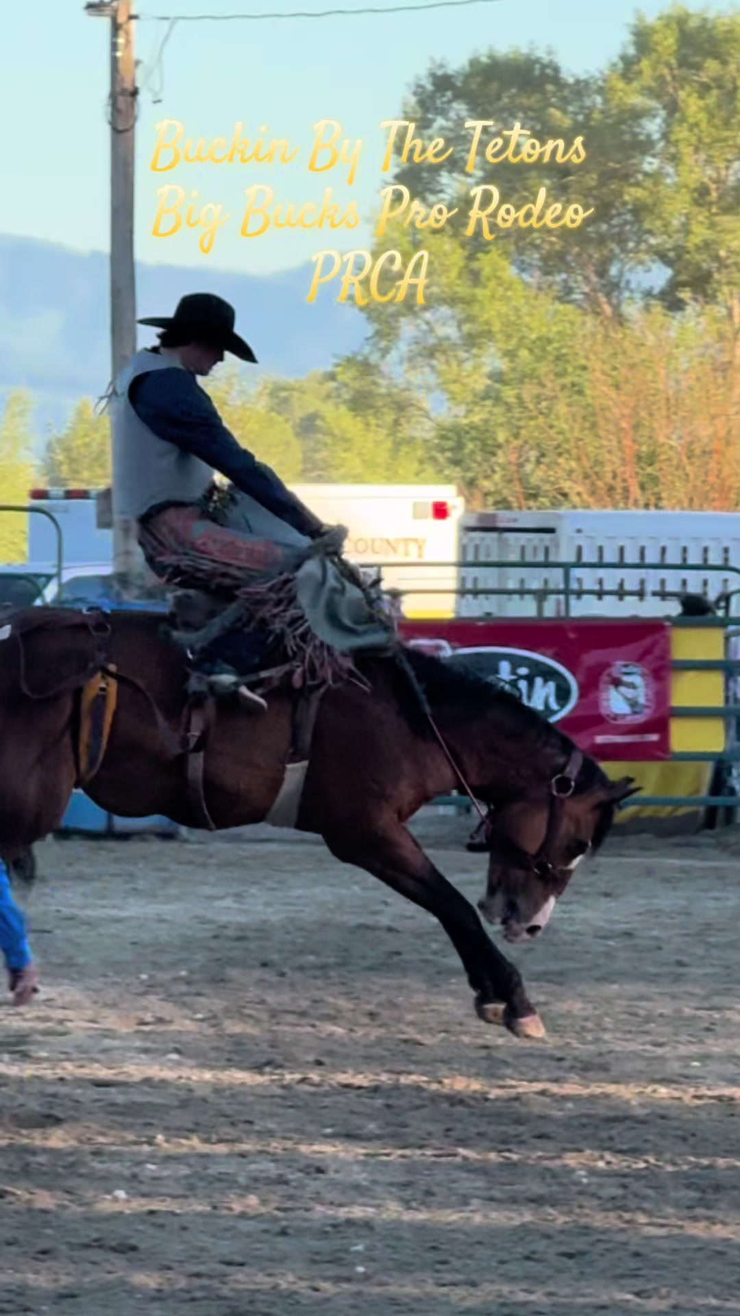 @knoxrodeo