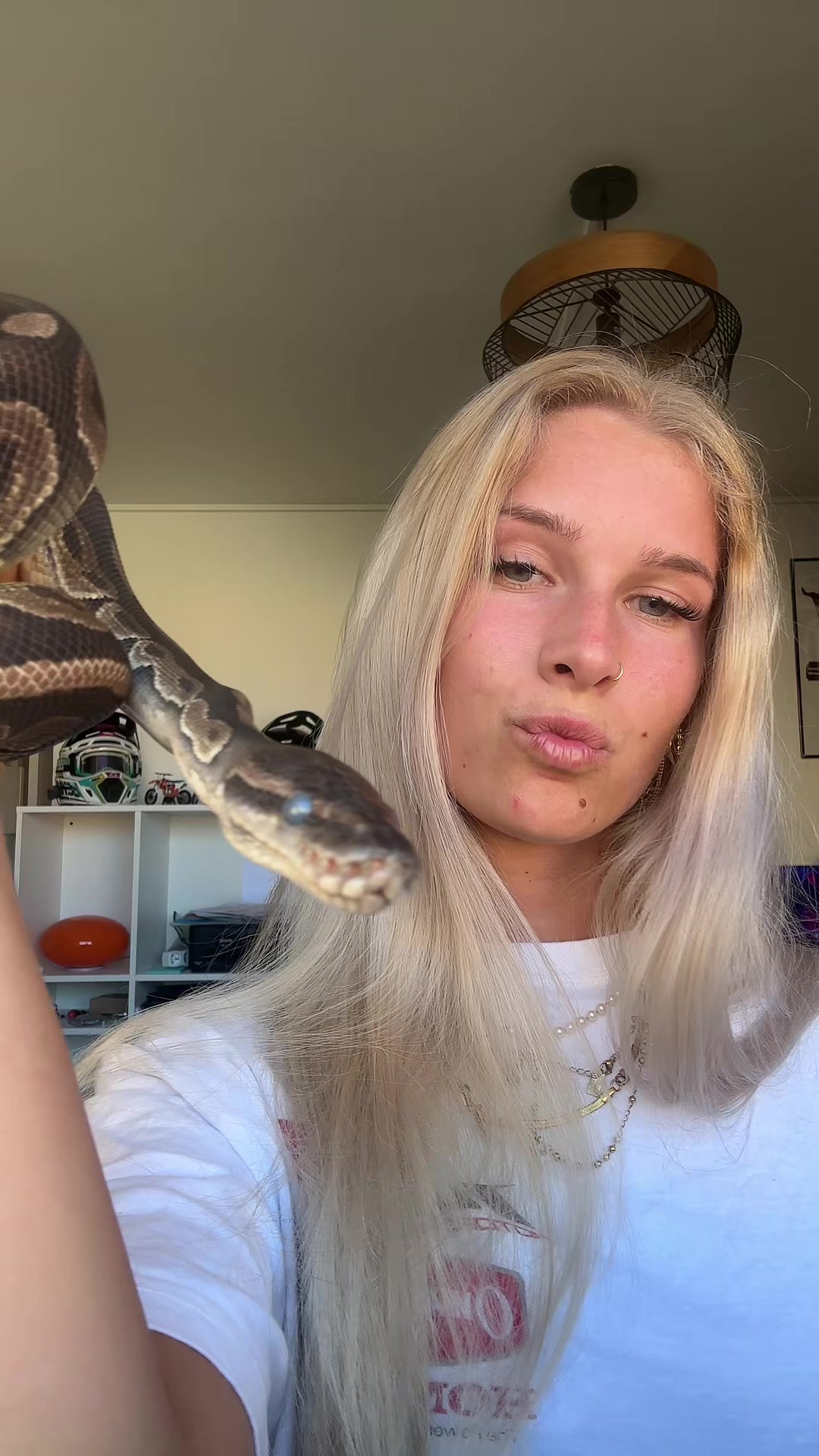 @emmaa.lr