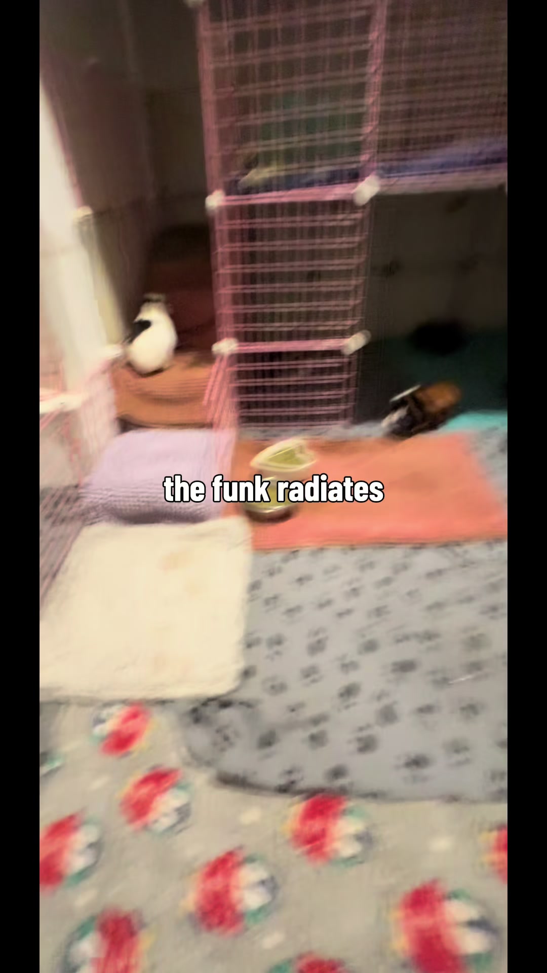@l3ootyTicklez