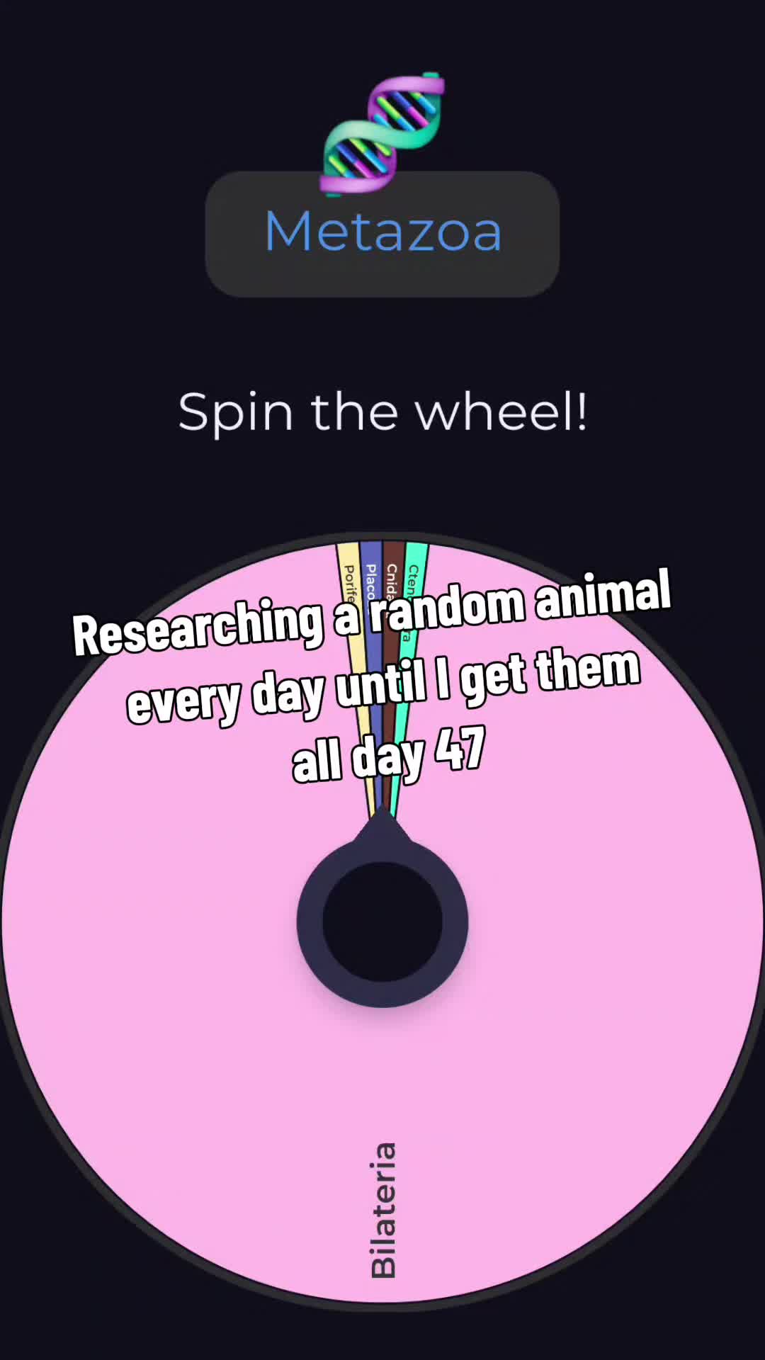 @Red🦕