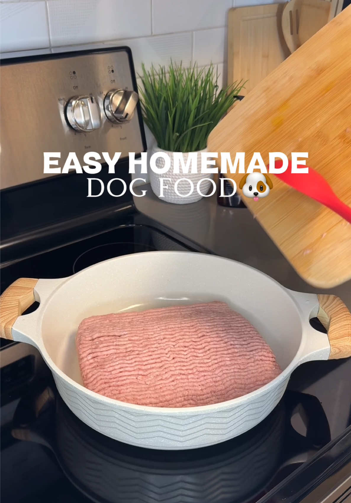 @Daily Dog Bites