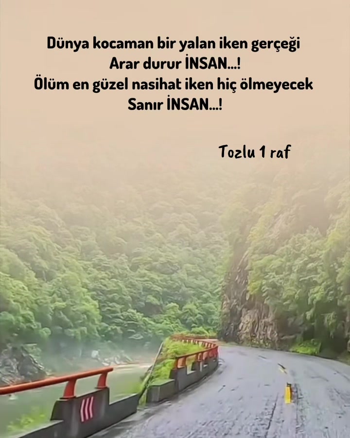 @tozlu1raf_