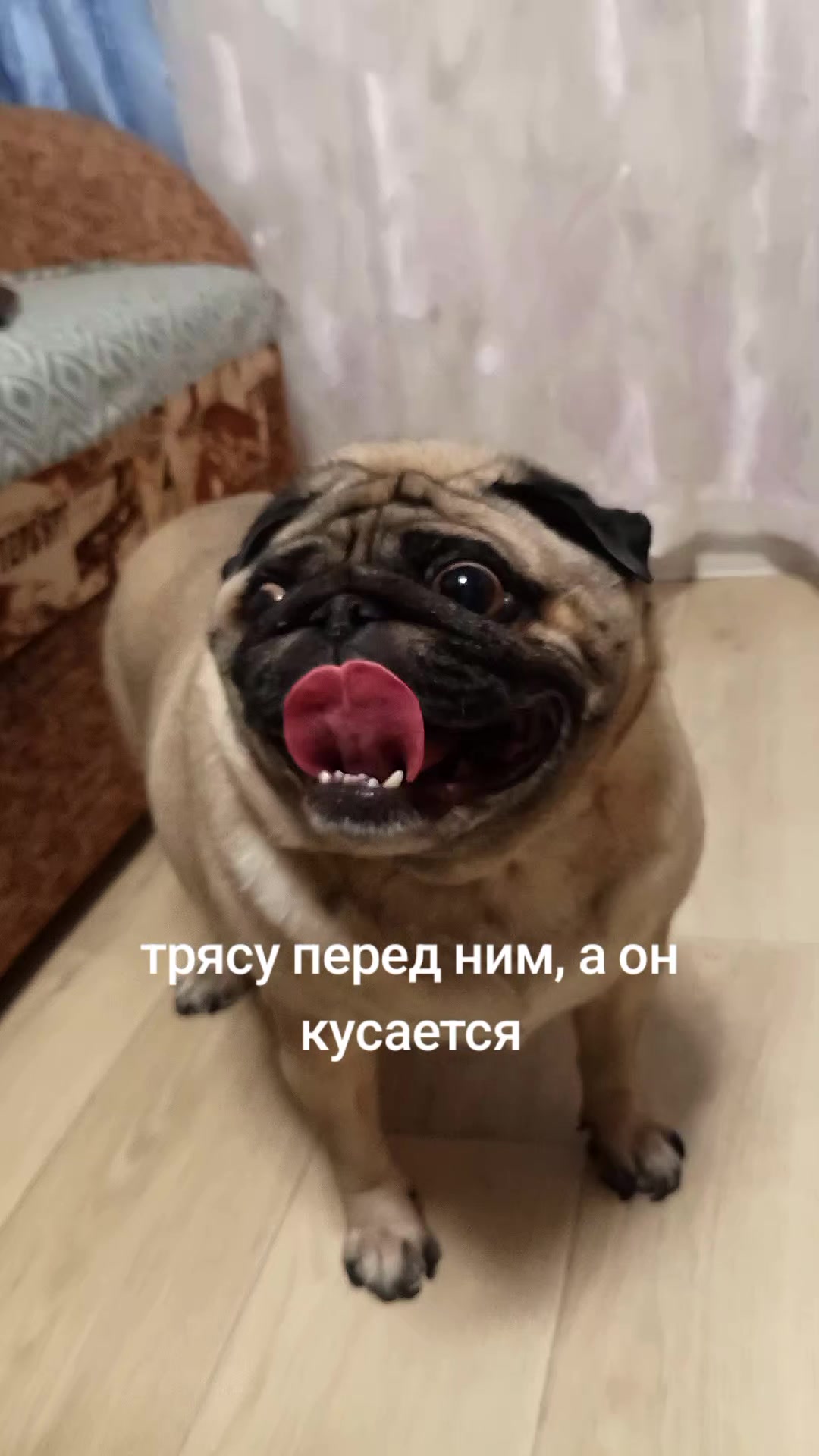 @tg: SamMops76