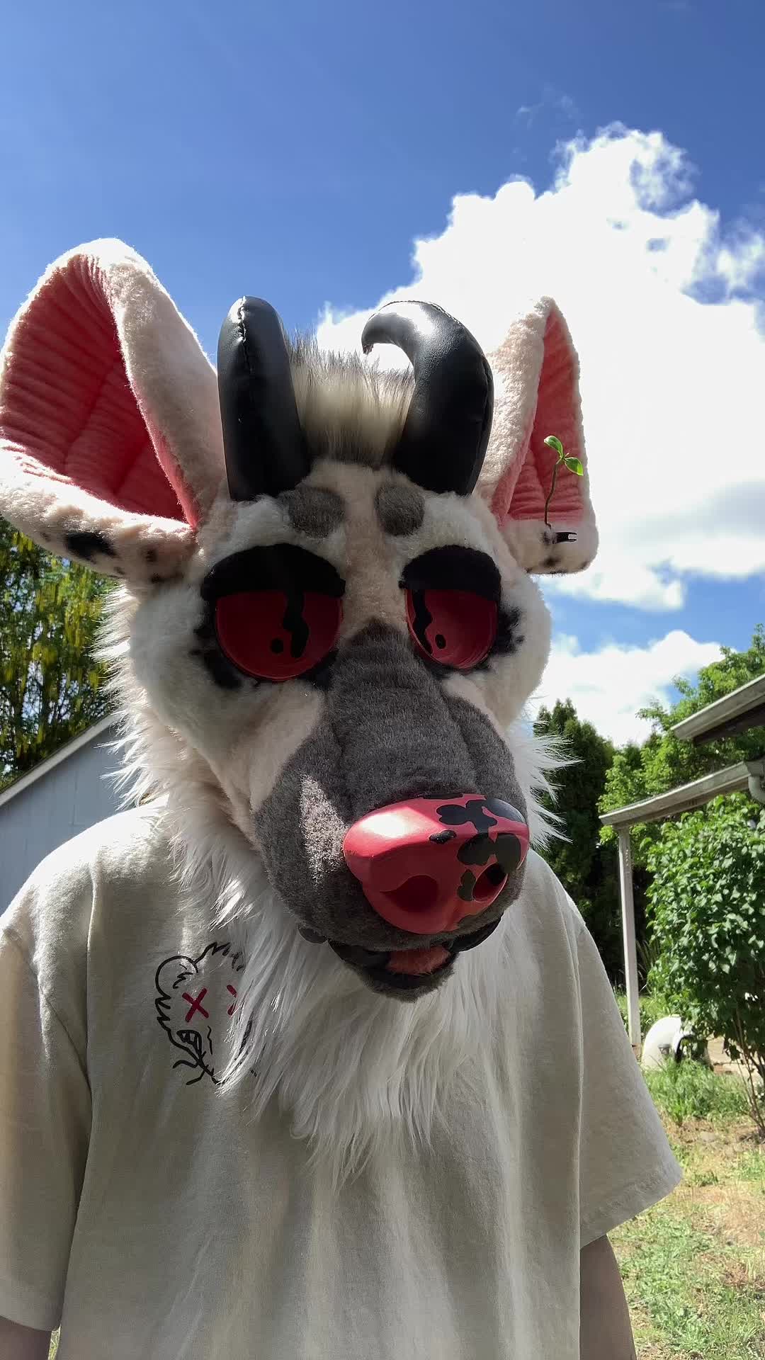 @DumbDeadBoi