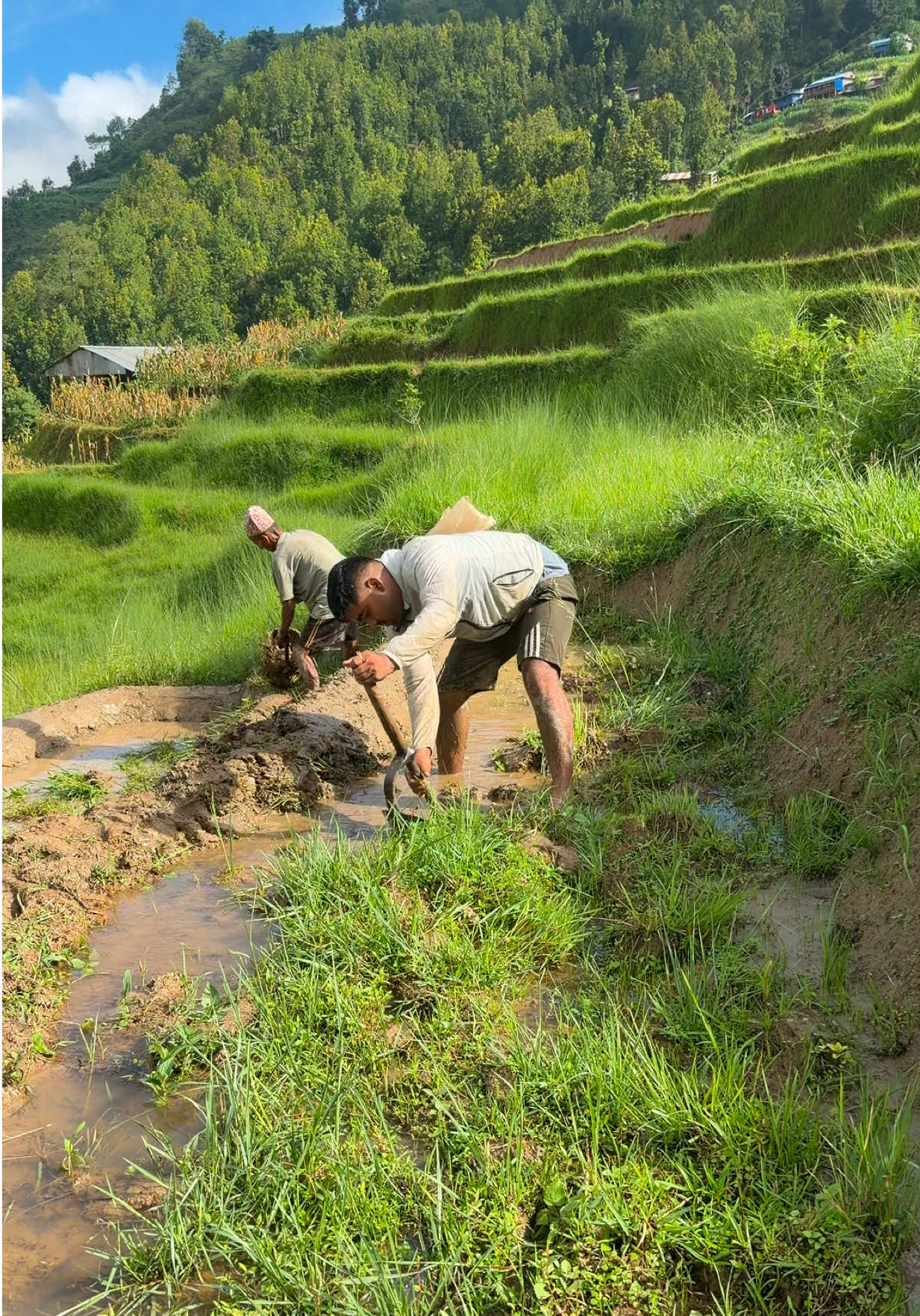 @संरक्षण रुपक