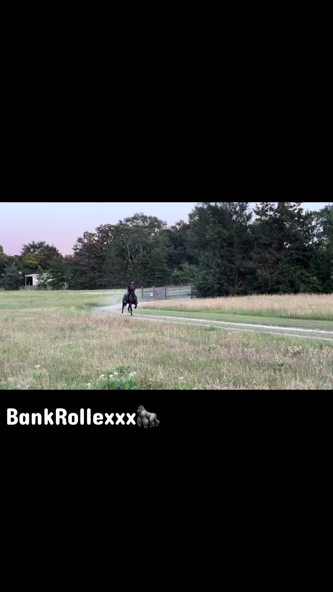 @ELI;)
