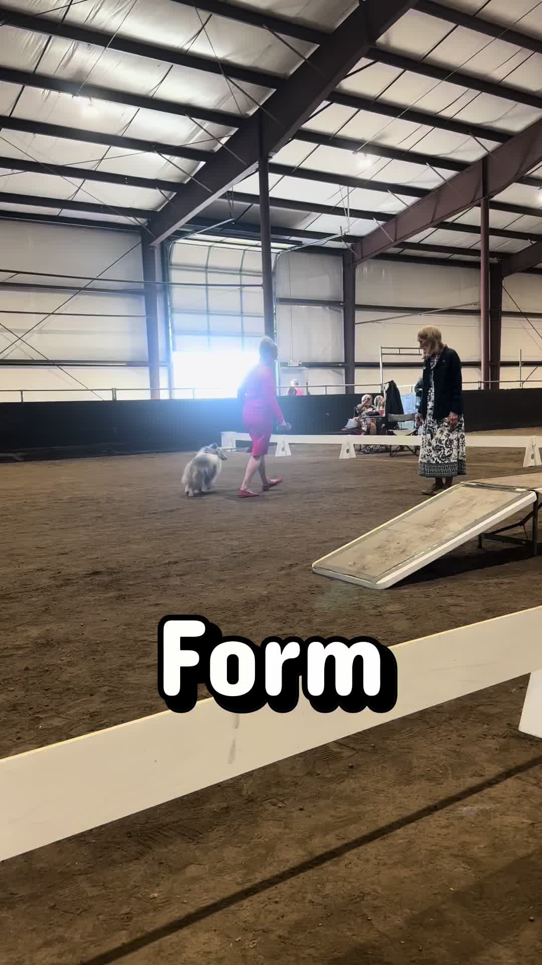 @Heather Discovery Canine Adv.