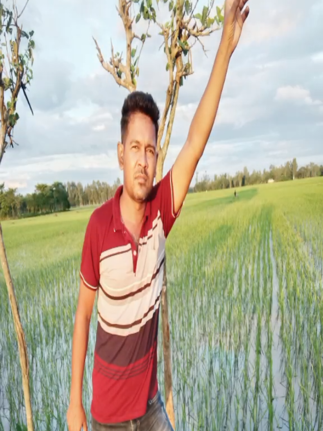 @dj murad