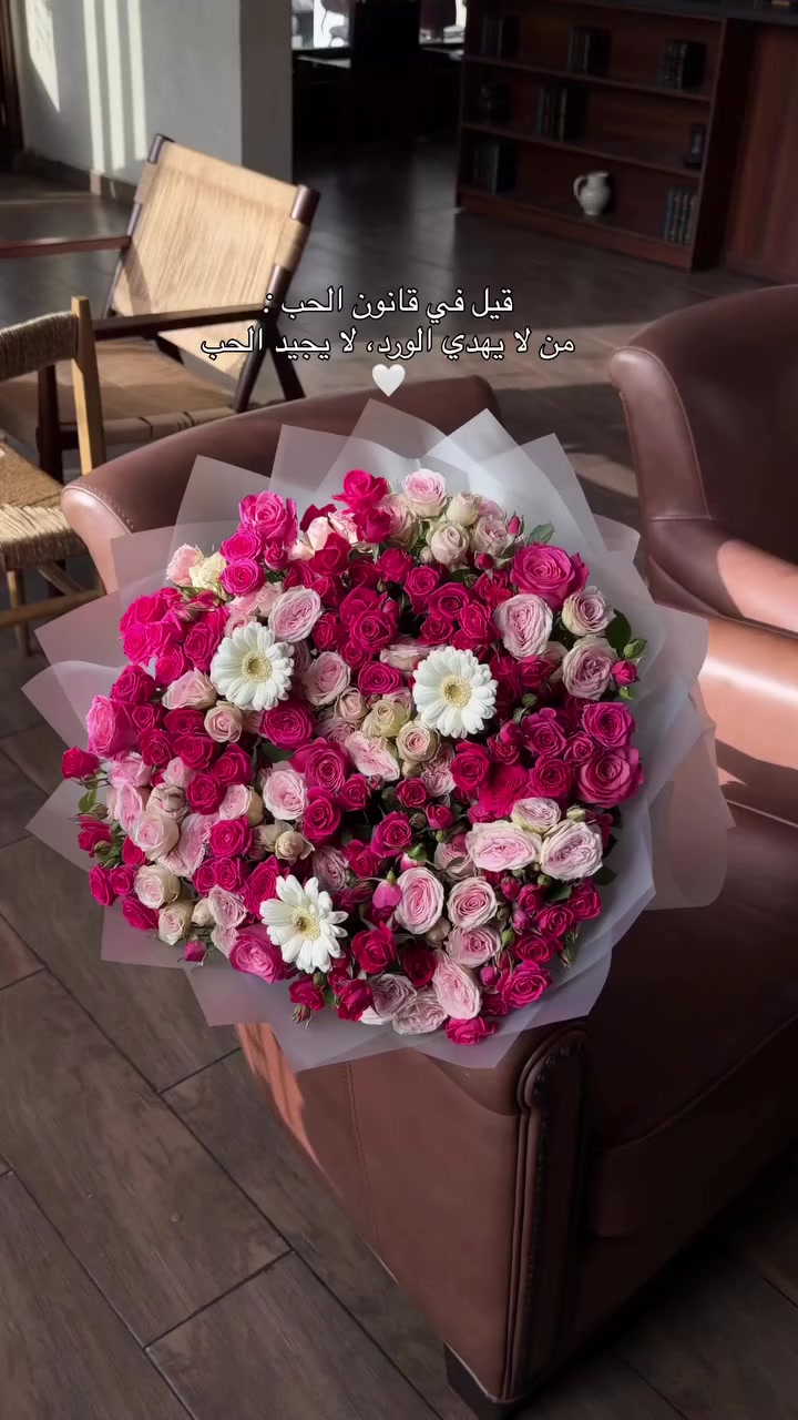 @مندوب ابها