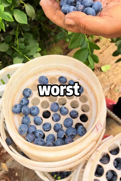 @dusty995