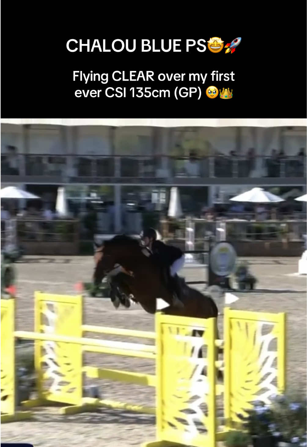 @Lisa Gaudiano