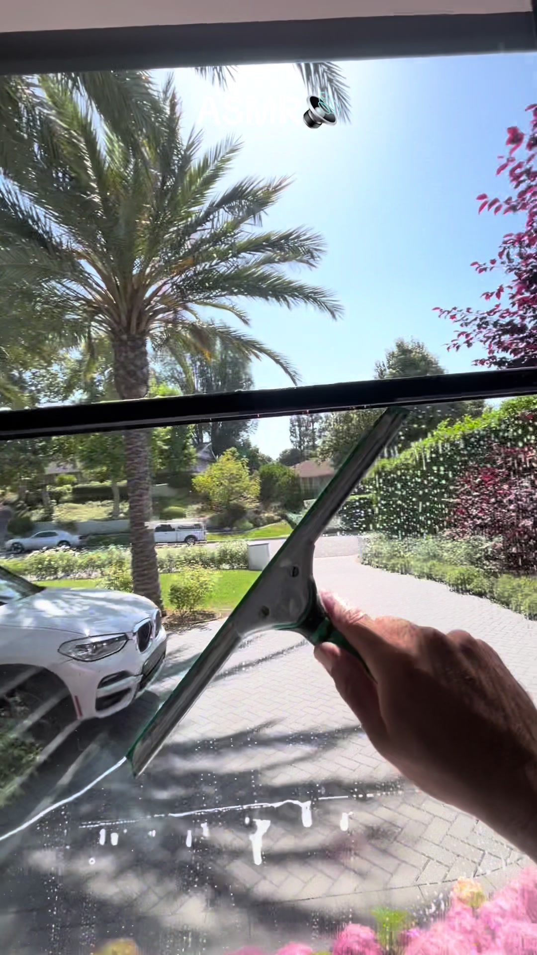 @luxprocleaning