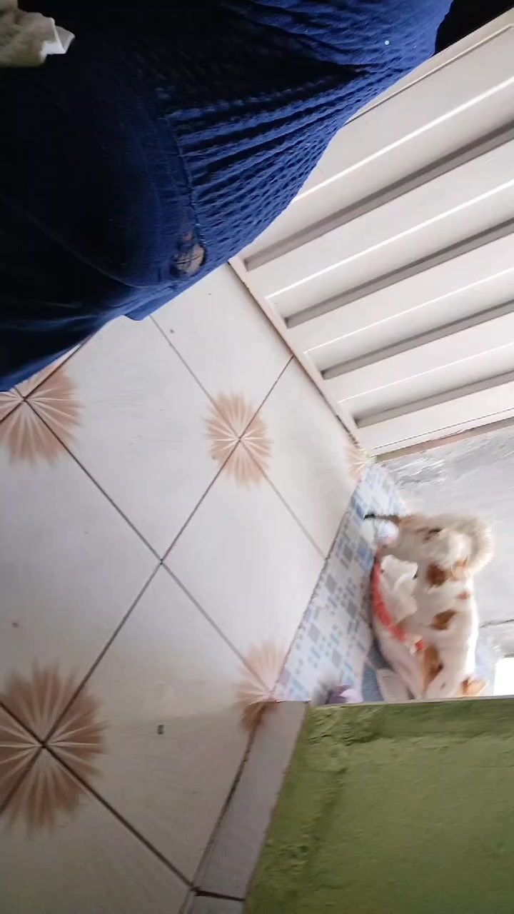 @mariaargueta302