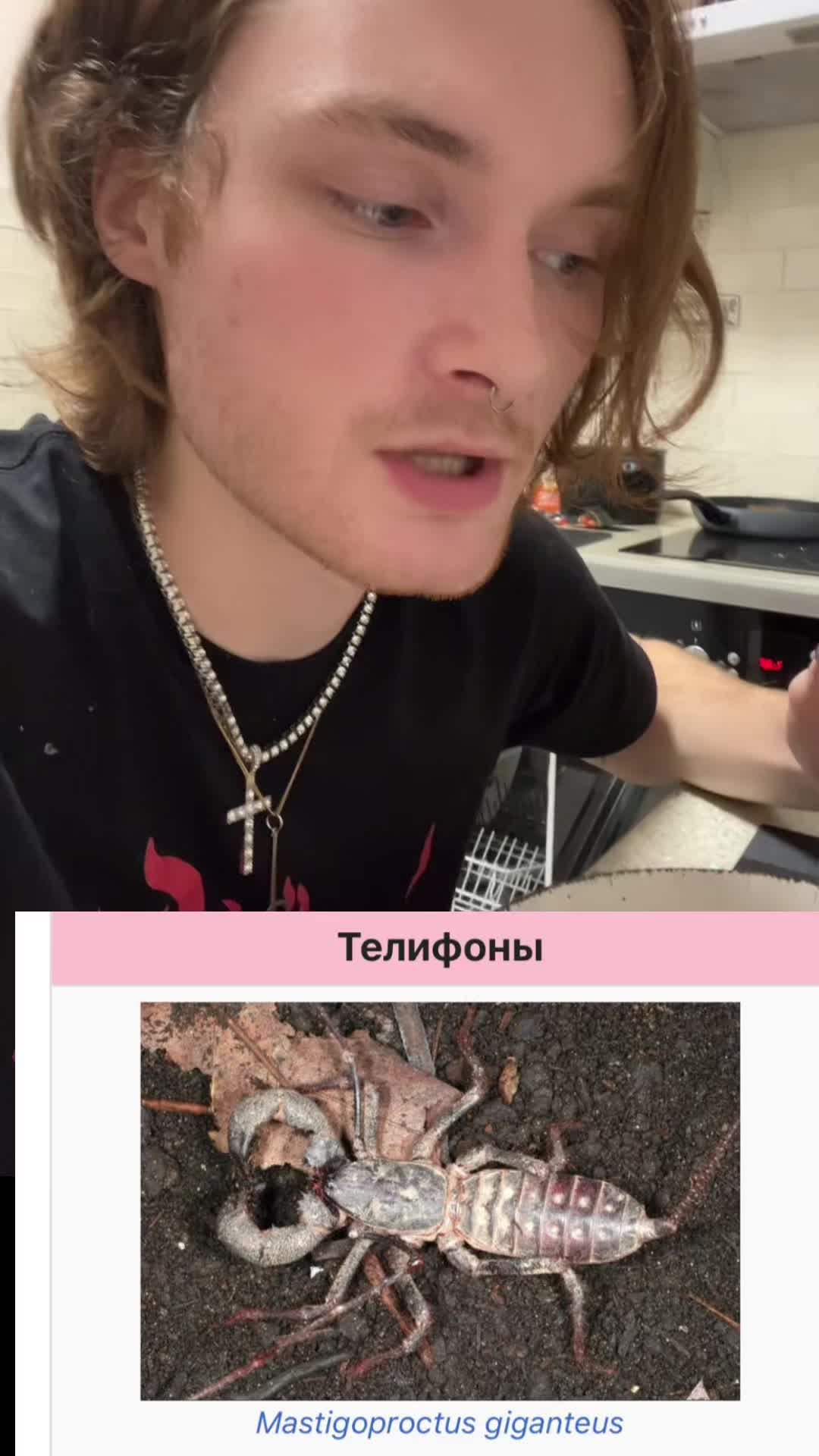 @geneofficial_