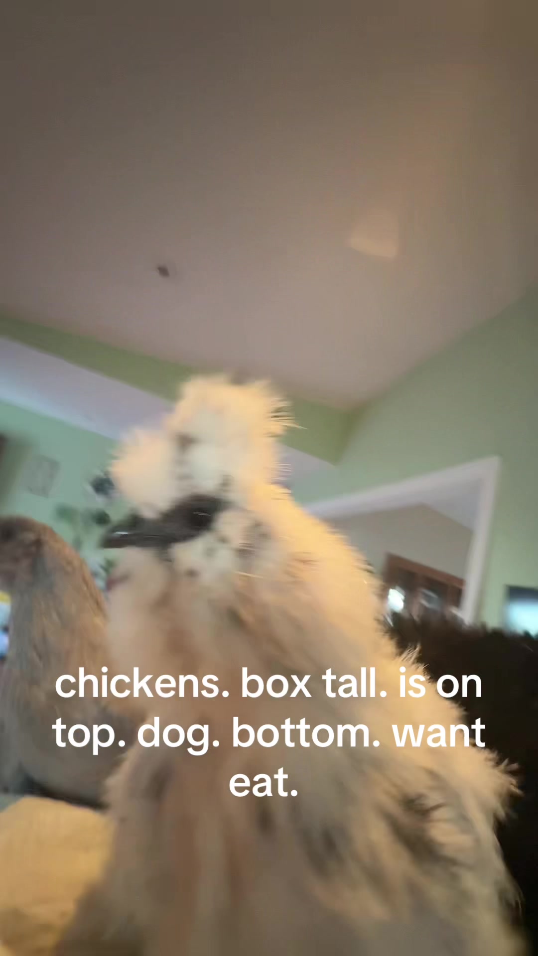 @Seven_mightyhens