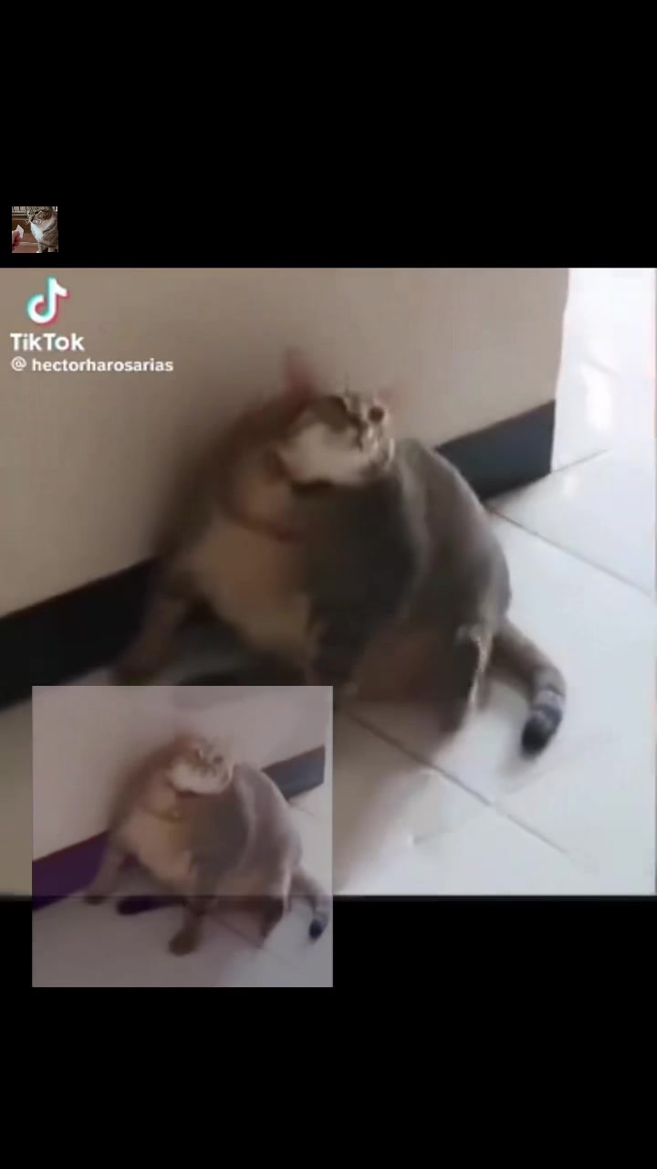 @???