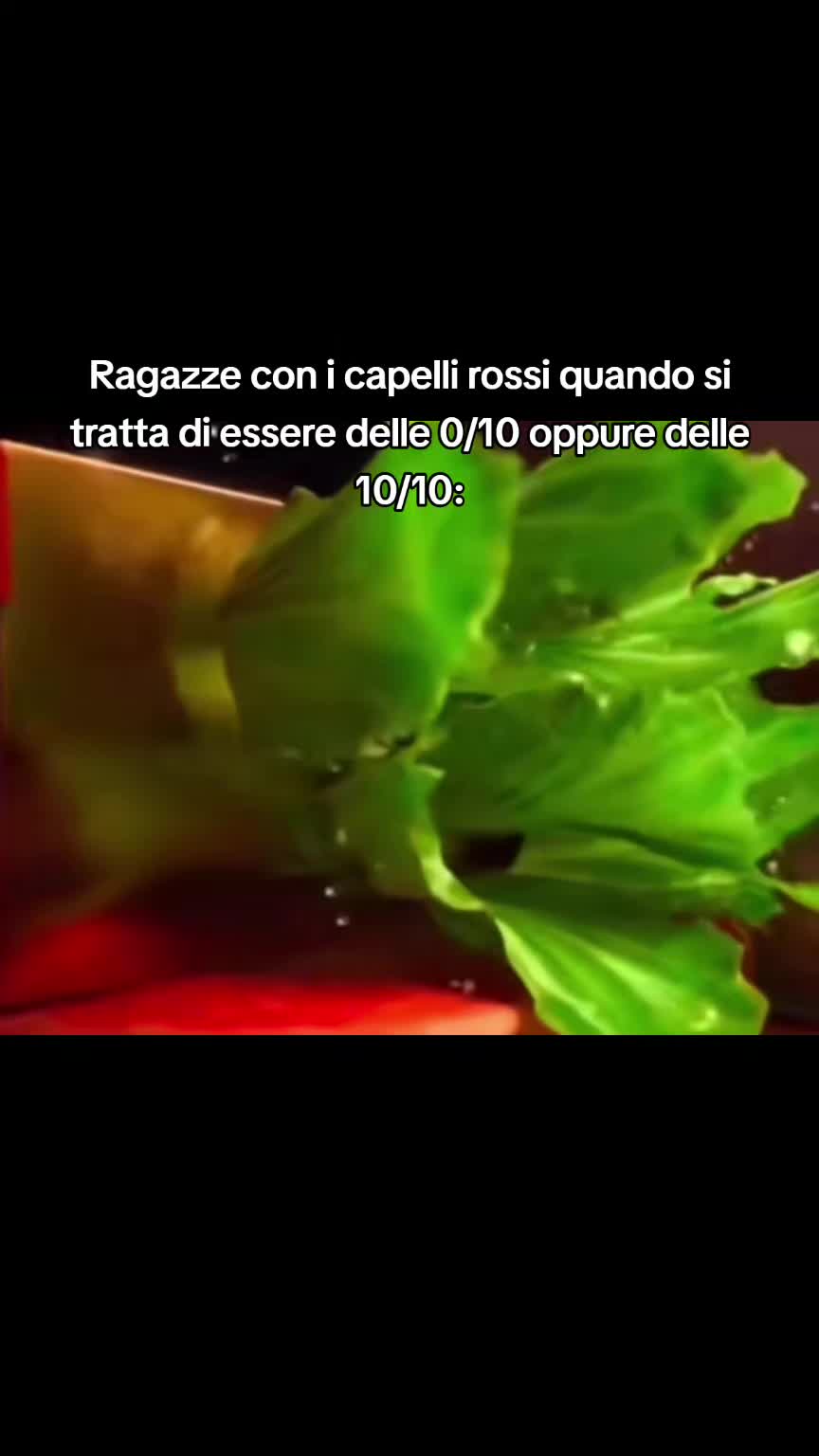 @Il.tiktoker.grammichelese