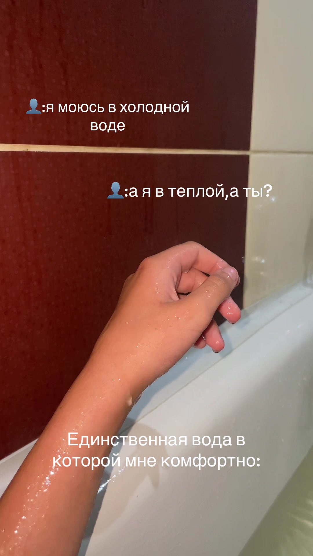 @🕷️