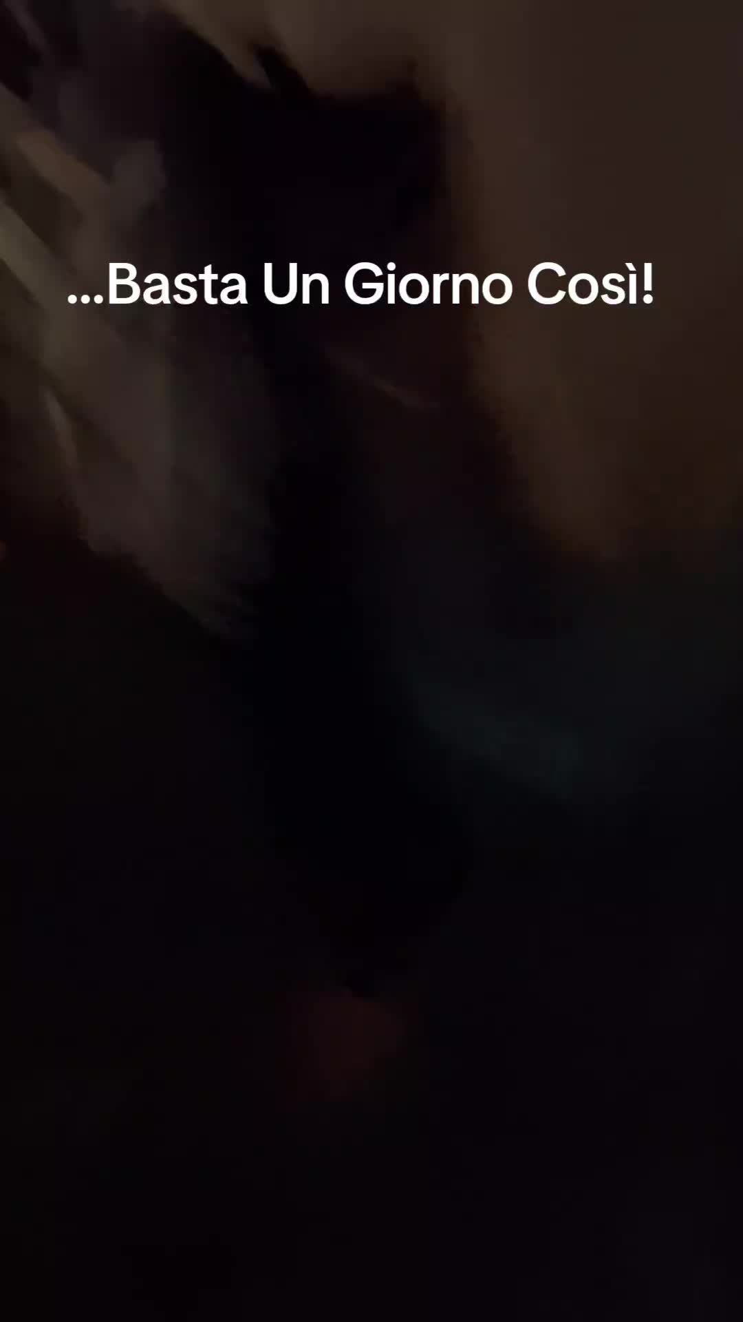 @Mirko