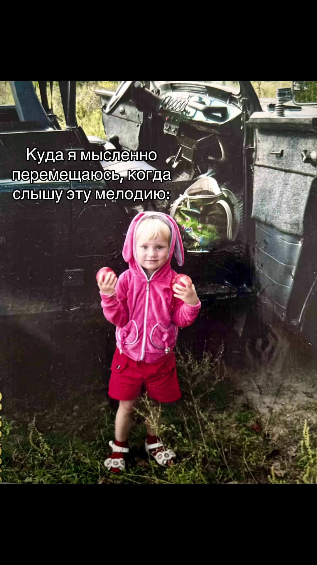 @vedlis