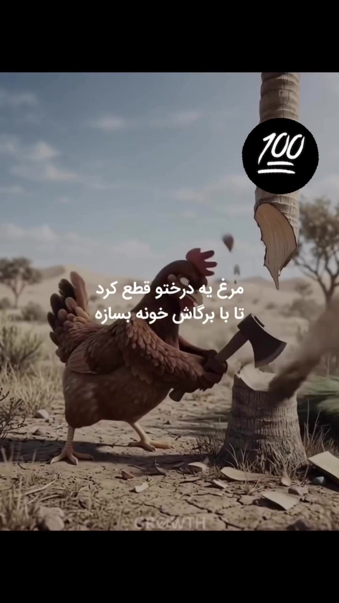 @Nila/نیلا