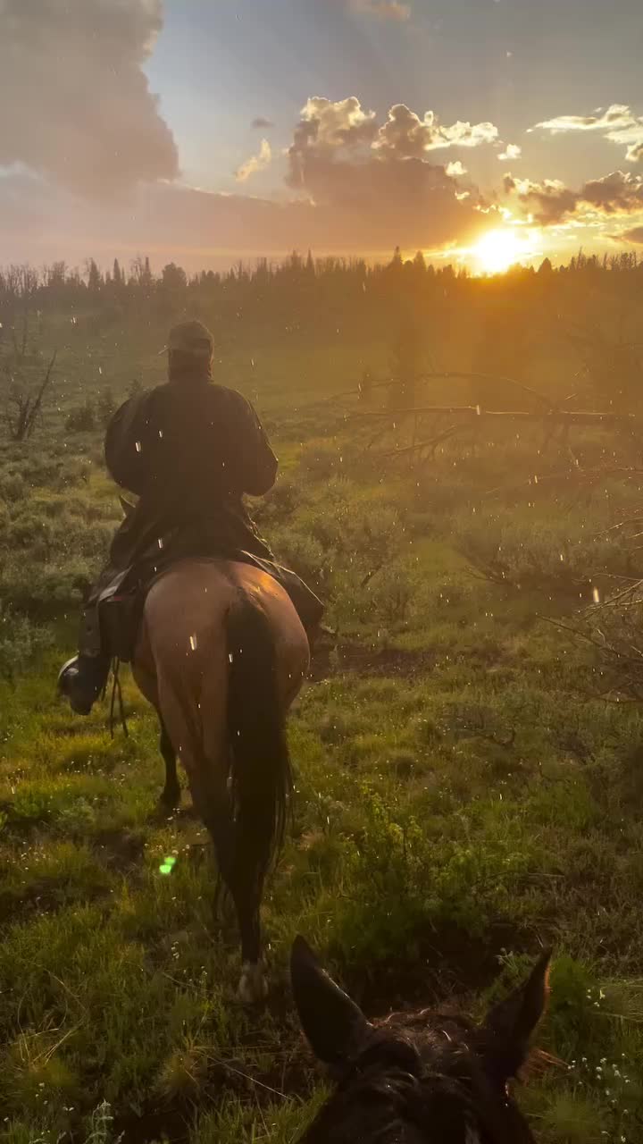 @ThunderGallops