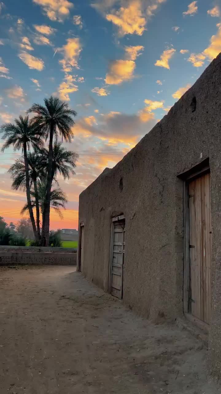 @drferoozshah