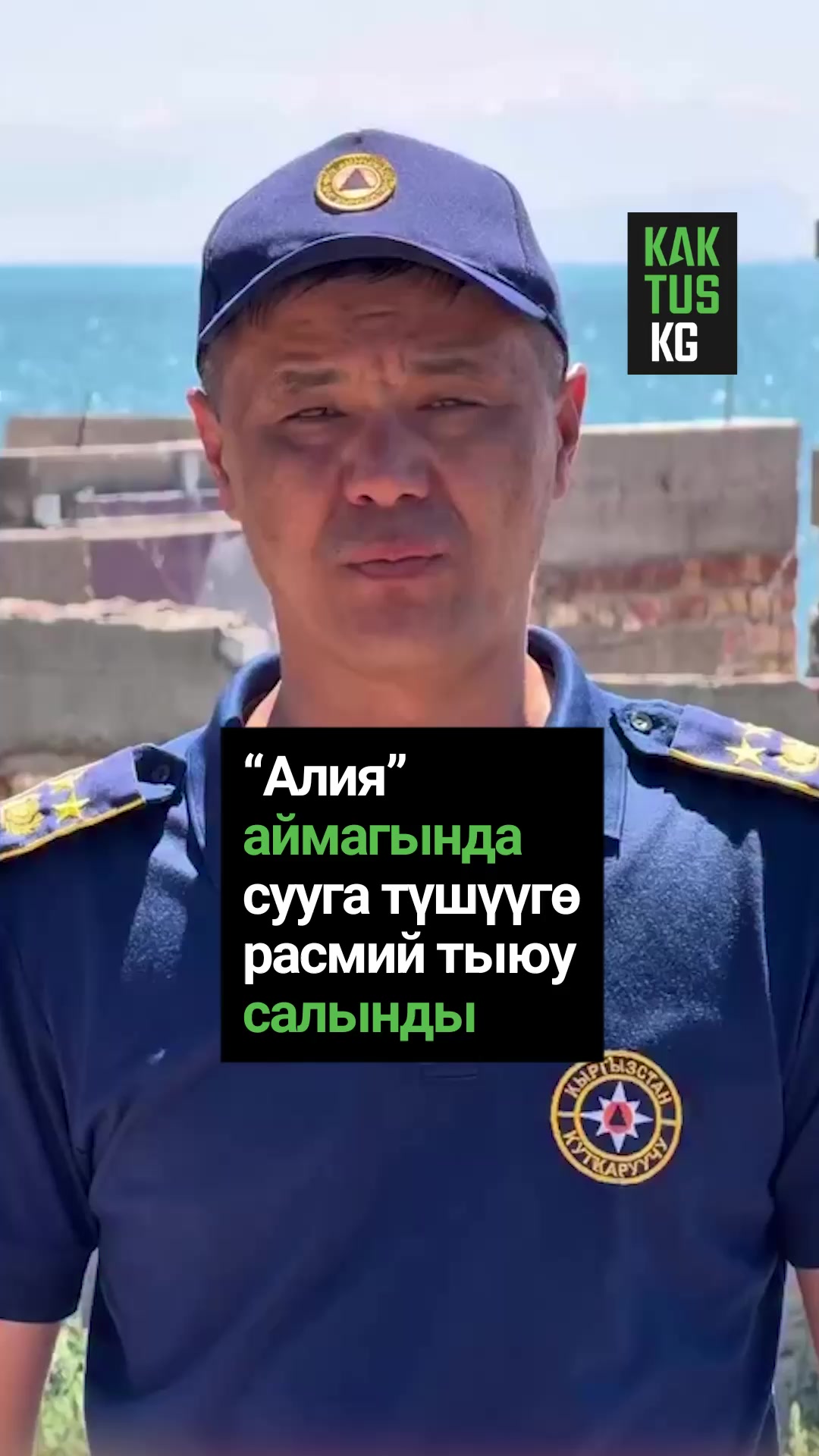 @Kaktus KG