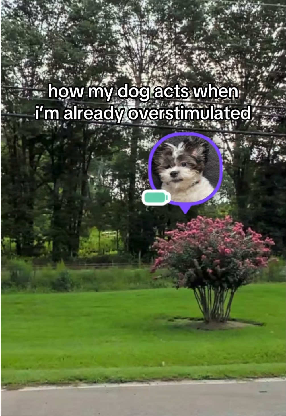 @Life360