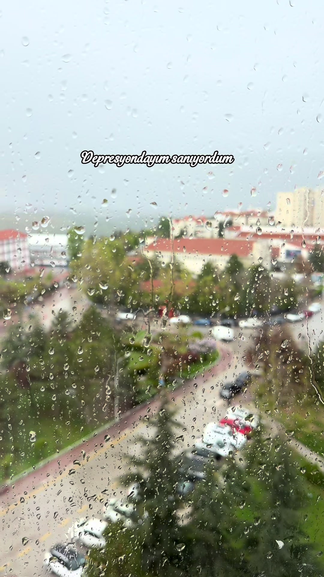 @Basakercetin