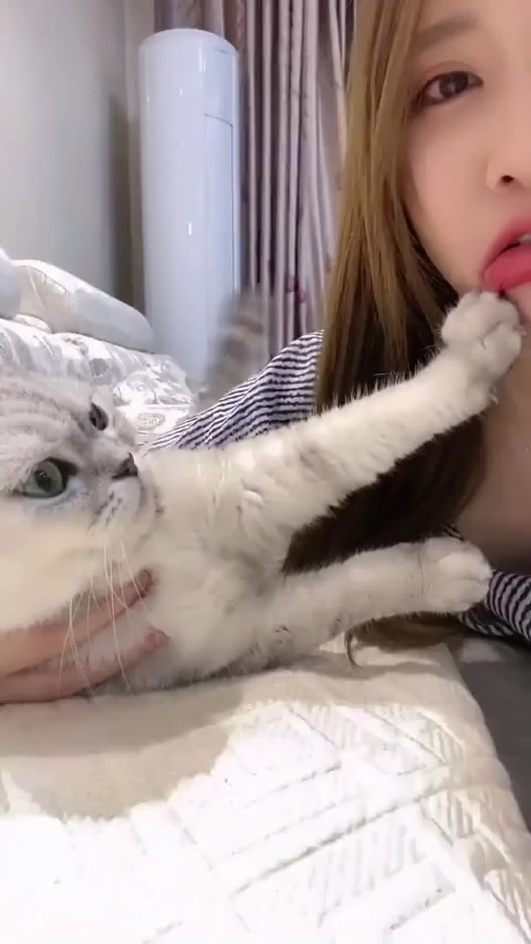 @ThaiFlash