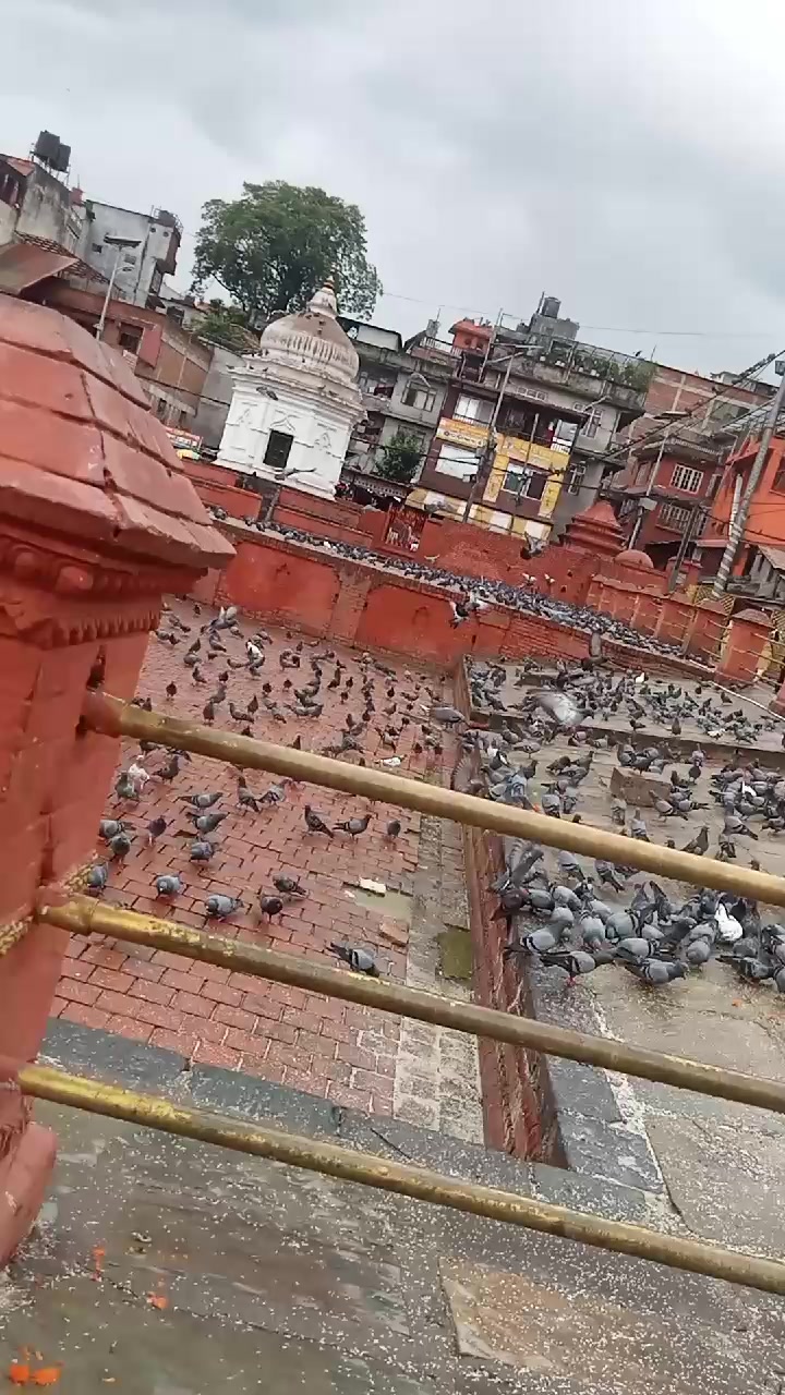 @King❣️kushwanshi