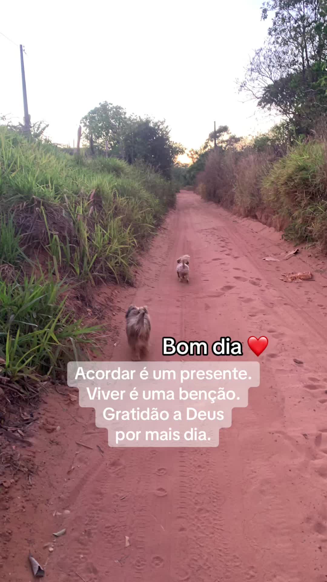 @Entre Laços