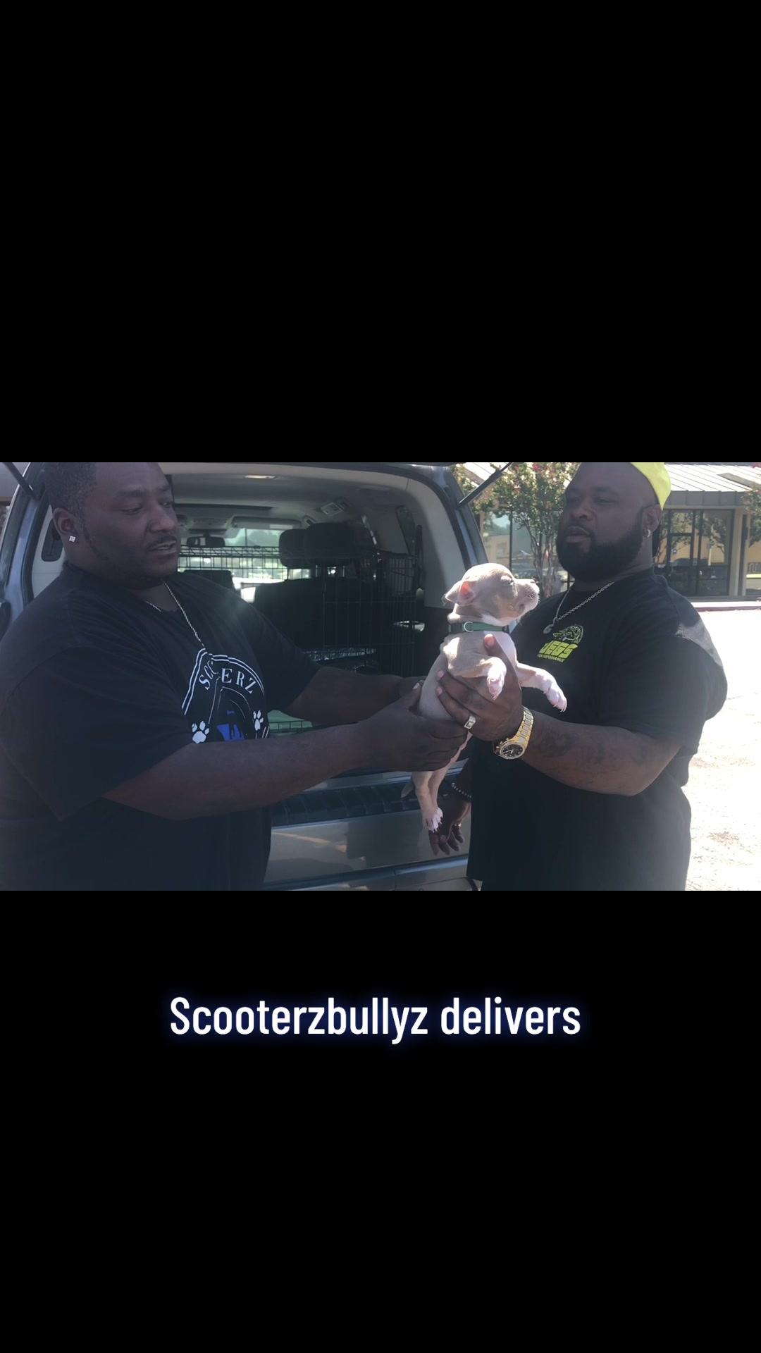 @Scooterzbullyz LLC